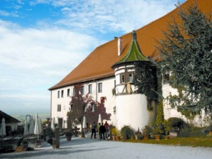 照片: Schloss Hohenentringen